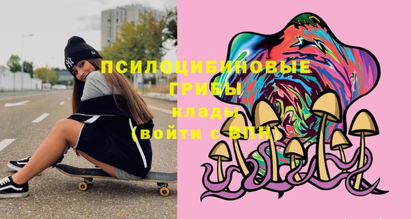 PSILOCYBIN Баксан